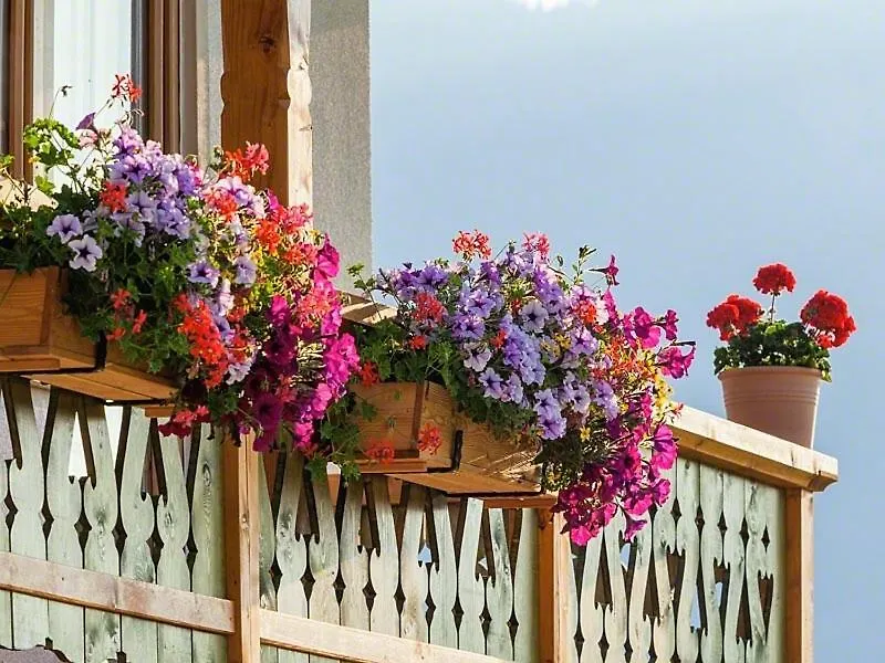 Farm stay Ferienwohnung Roislerlehen Bischofswiesen